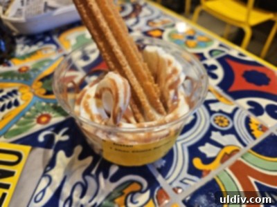 Windy City Bites 6 Ice cream with churro from Guzman Y Gomez