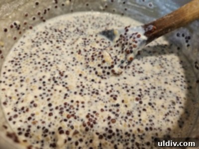 Naked Nutrition Casein Honest Review 7 Close-up of Naked Nutrition Micellar Casein Protein Powder being stirred into cooked quinoa pudding, showing its easy blendability.