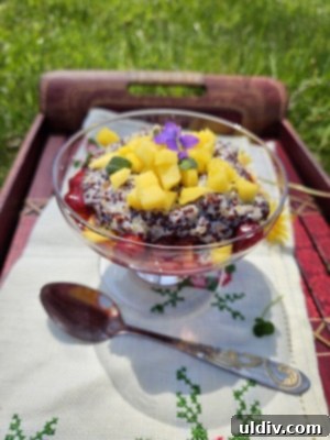 Naked Nutrition Casein Honest Review 8 A spoonful of creamy quinoa pudding topped with fresh mango and vibrant sour cherry sauce.
