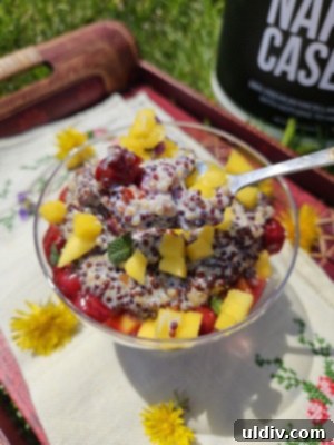 Naked Nutrition Casein Honest Review 9 A close-up of the delicious and healthy protein-packed quinoa pudding dessert.