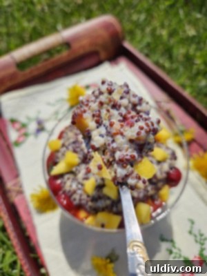 Naked Nutrition Casein Honest Review 10 A beautifully garnished serving of the protein-rich quinoa pudding, ready to be enjoyed as a functional dessert.