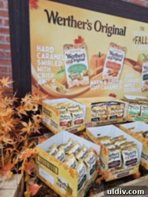 A collection of Werther’s Original seasonal candies, featuring festive packaging and unique flavors for specific times of the year.