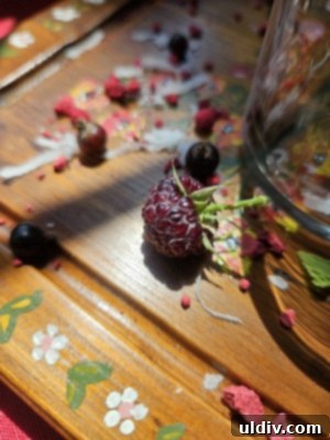 2025: A World of Chocolate Delights 6 A hand holding a handful of freshly picked black raspberries