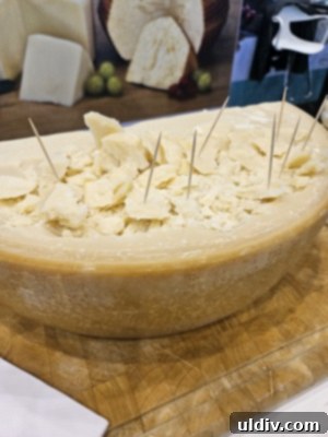 The 2025 Restaurant Association Summit 30 Assortment of gourmet cheese samples from the show floor
