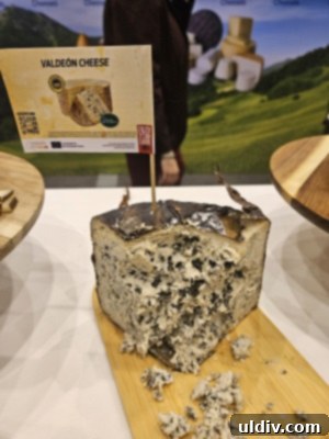 The 2025 Restaurant Association Summit 31 Additional gourmet cheese samples sampled during the event