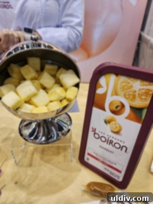 The 2025 Restaurant Association Summit 7 Les Vergers Boiron Frozen Kumquat Purée for health-focused applications