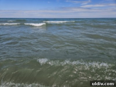 Unforgettable Family Summer Adventures 17 Chicago skyline from Kemil Beach
