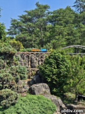Unforgettable Family Summer Adventures 28 Beautiful garden path at Gabis Arboretum