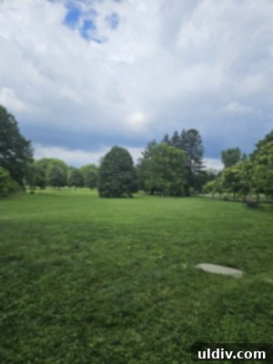 Unforgettable Family Summer Adventures 4 Holliday Park scenery