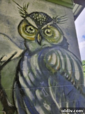 Unforgettable Family Summer Adventures 6 Beautiful murals in Holliday Park