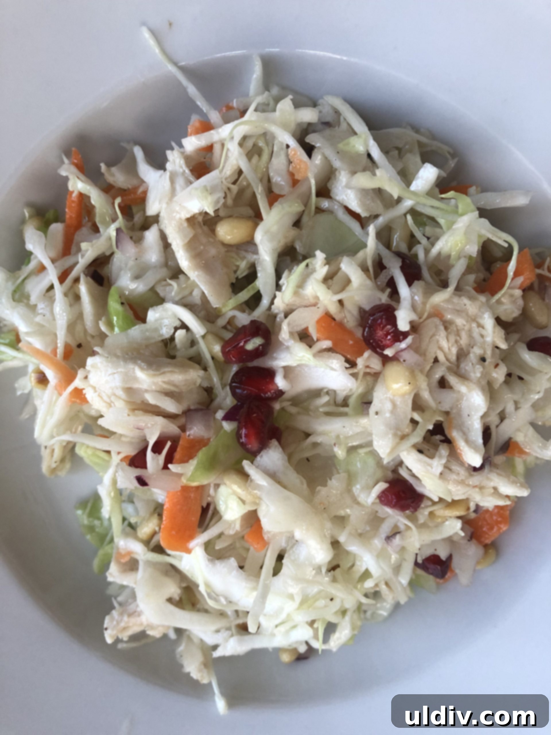 Vibrant Pomegranate & Pine Nut Chicken Slaw 2 A vibrant bowl of chicken coleslaw with ruby red pomegranate seeds and golden pine nuts, ready to be enjoyed.
