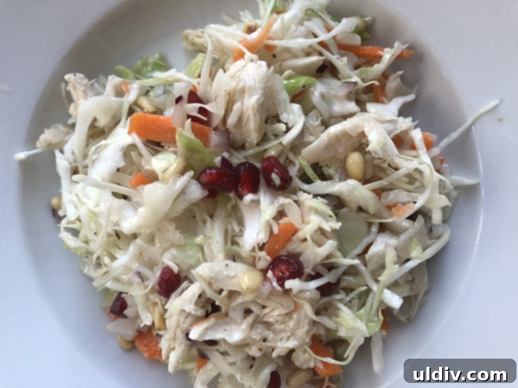 Vibrant Pomegranate & Pine Nut Chicken Slaw 3 A close-up shot of a white bowl filled with healthy chicken coleslaw, showcasing its vibrant ingredients.