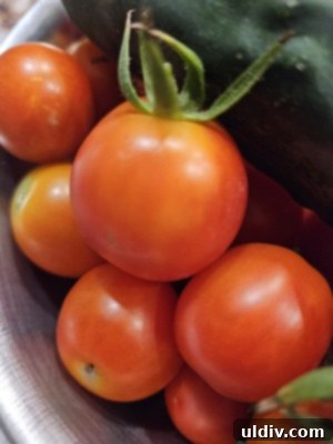 Freeze Tomatoes Stop Food Waste 4 A close-up of diced tomatoes, showcasing preparation for freezing or immediate cooking, emphasizing the fresh texture and readiness.
