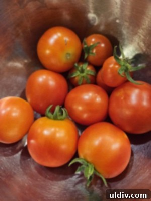 Freeze Tomatoes Stop Food Waste 6 Various appetizing dishes featuring tomatoes, such as a hearty tomato soup or a fresh salad, illustrating culinary versatility for preserved tomatoes.