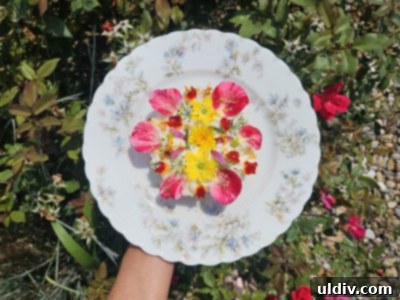 An overhead shot showcasing a beautifully arranged bagel with whipped ricotta, adorned with an assortment of fresh herbs and colorful edible flowers, ready to be enjoyed.