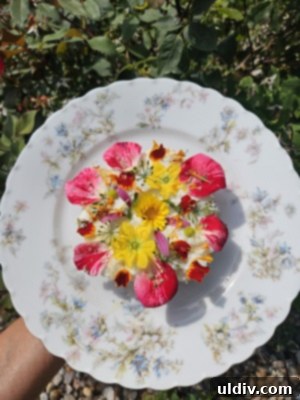 A close-up, artistically composed shot of a bagel topped with whipped ricotta, adorned with an abundance of colorful edible flowers and fresh green herbs, creating a stunning visual appeal.