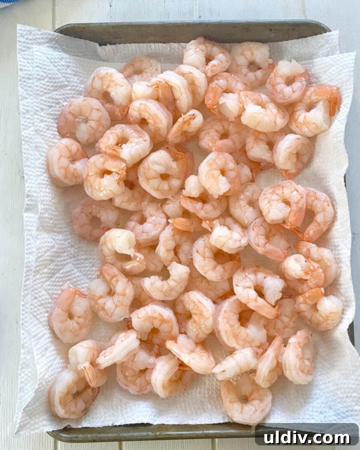 Quick Old Bay Shrimp Salad Sensation 8 drying cooked shrimp on paper towels.