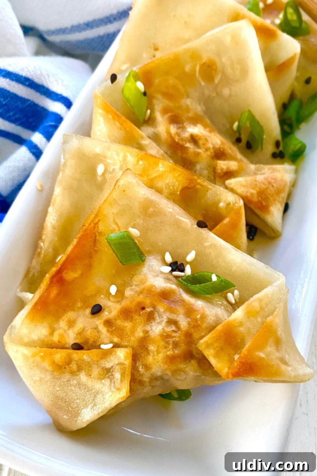 Crispy Pork Potstickers with Zesty Dipping Sauce 2 Pork pot stickers on a plate with sesame seeds and sliced green onions.