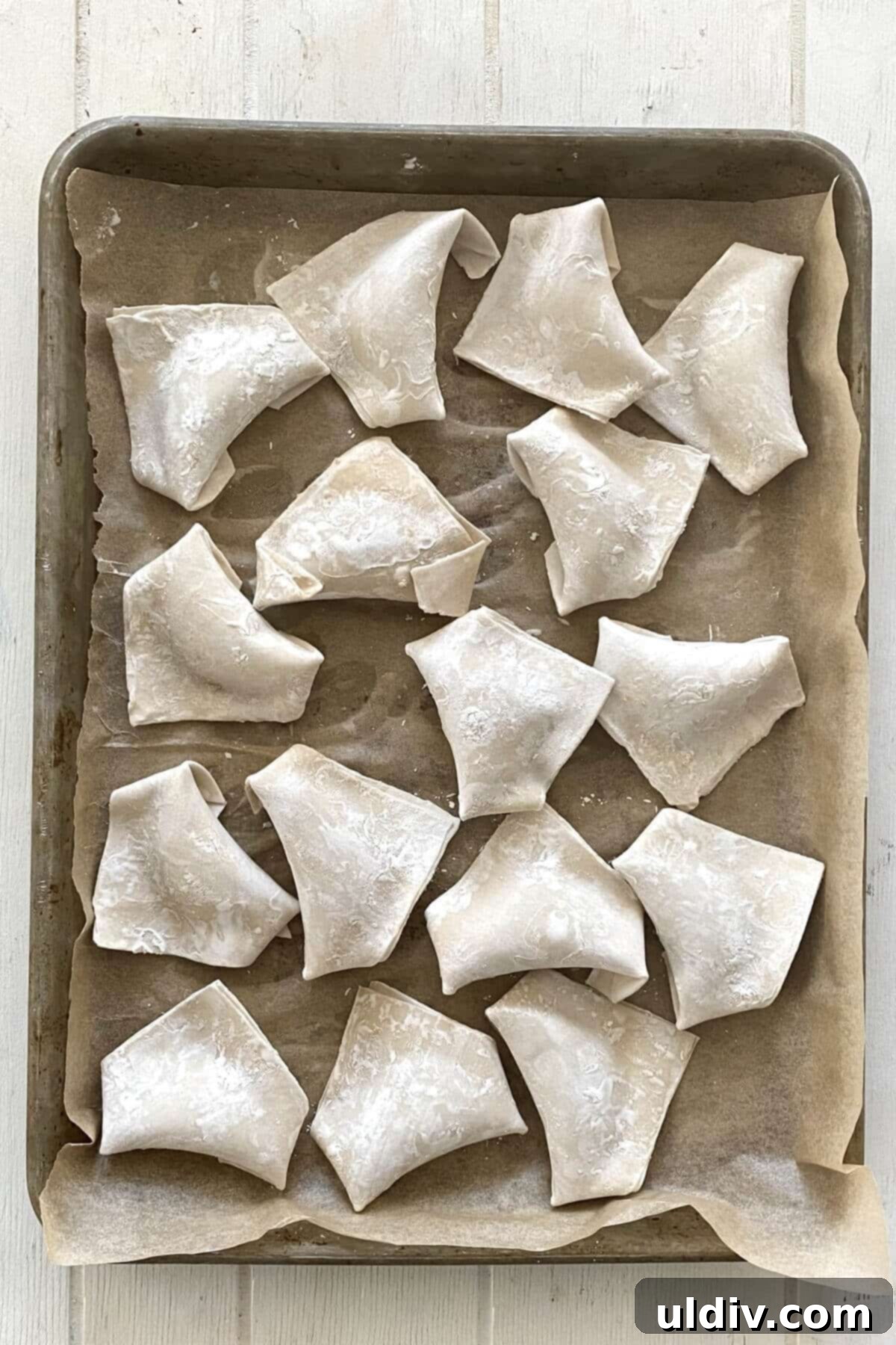Irresistible Pork Potstickers with Signature Dipping Sauce 13 Frozen and uncooked pork potstickers.