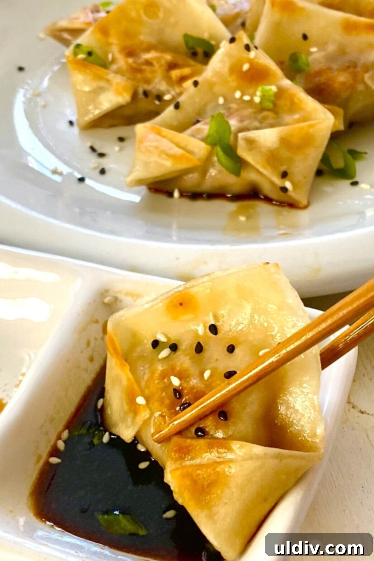Crispy Pork Potstickers with Zesty Dipping Sauce 3 One potsticker with chopsticks and dipping sauce.