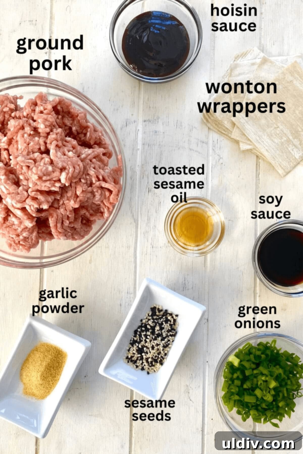 Crispy Pork Potstickers with Zesty Dipping Sauce 4 Ground pork, soy sauce, hoisin sauce, green onions, garlic powder, wonton wrappers, sesame seeds, toasted sesame oil.