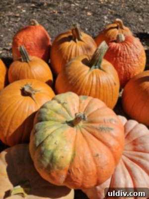 Smiling person enjoying a pumpkin spice beverage, embracing the fall season