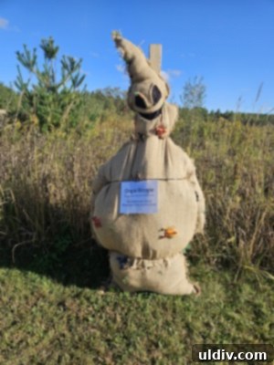 Scarecrow designed with a movie magic theme at Gabis Arboretum