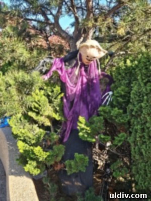 Halloween themed decorations and miniature houses in the Railway Garden