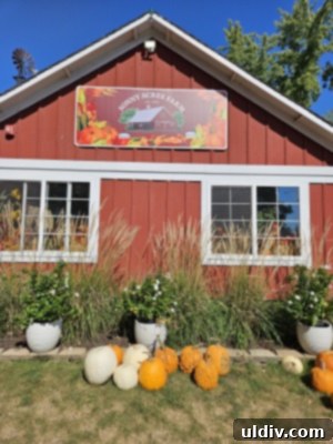 Colorful pumpkins and hay bales decorating Sonny Acres Farm during Fall Fest