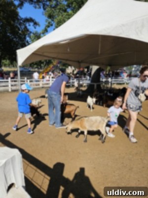 A child gently petting a goat in the Sonny Acres Farm petting zoo