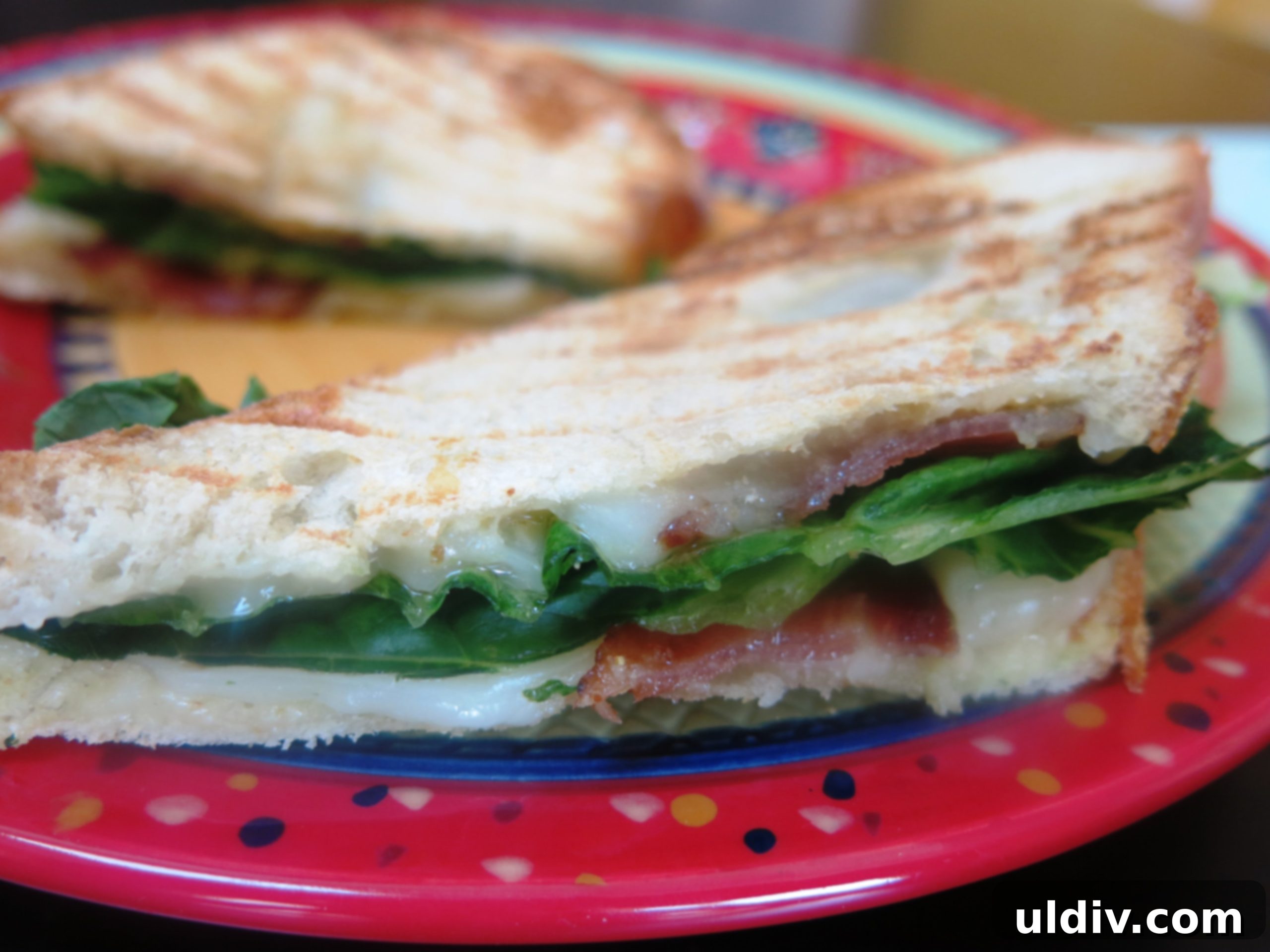 Hummus Panini: Wholesome Flavor, Protein Power 2 Delicious Hummus and Bacon Panini, ready to be grilled