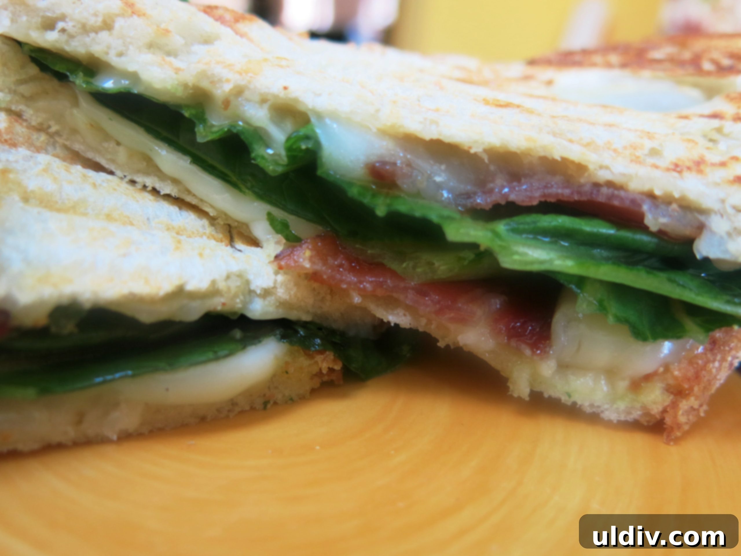 Hummus Panini: Wholesome Flavor, Protein Power 4 Grilled Hummus and Bacon Panini, cut in half and served