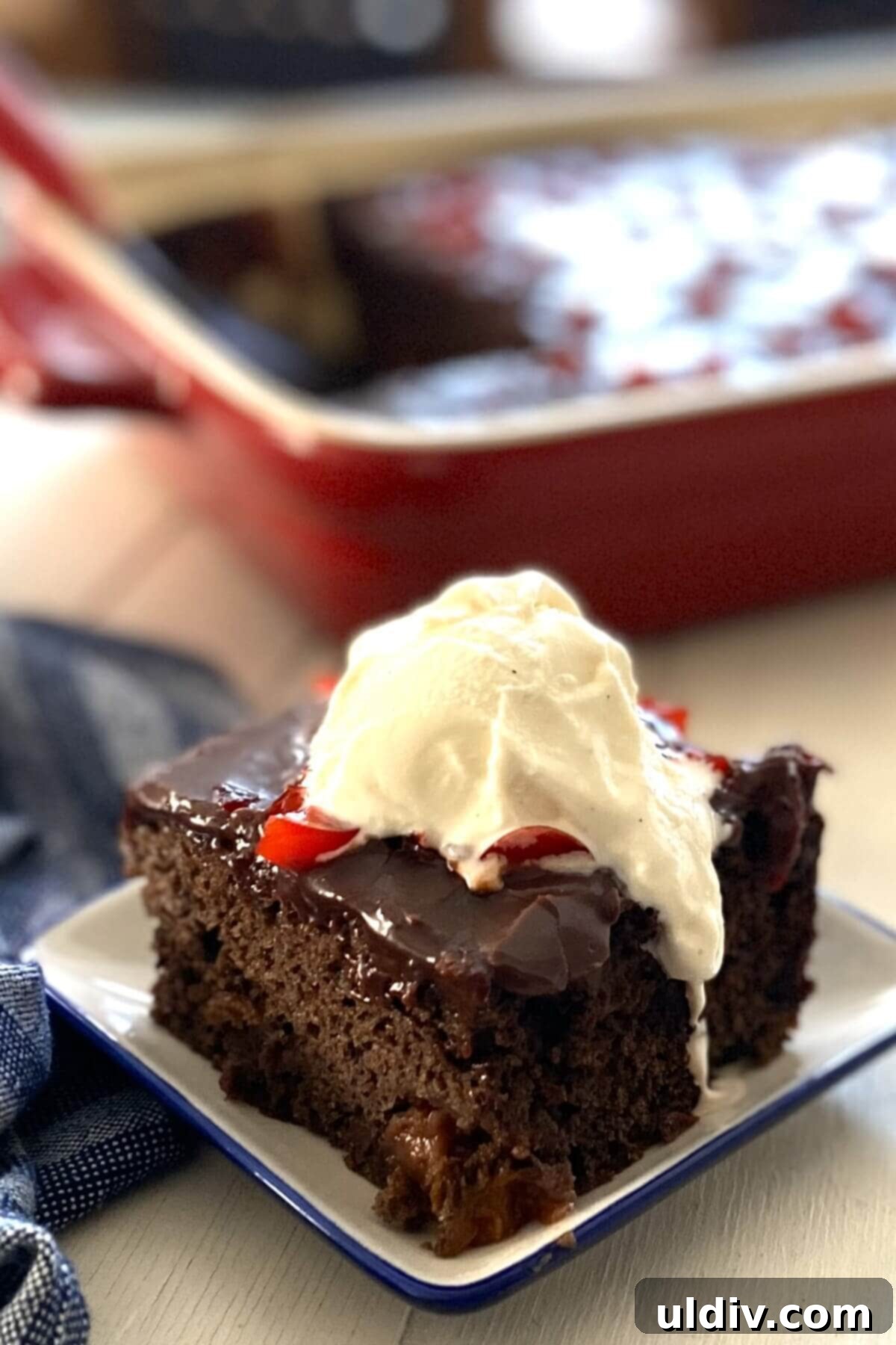 A delectable slice of Chocolate Cherry Cake topped with a scoop of creamy vanilla ice cream, ready to be enjoyed.