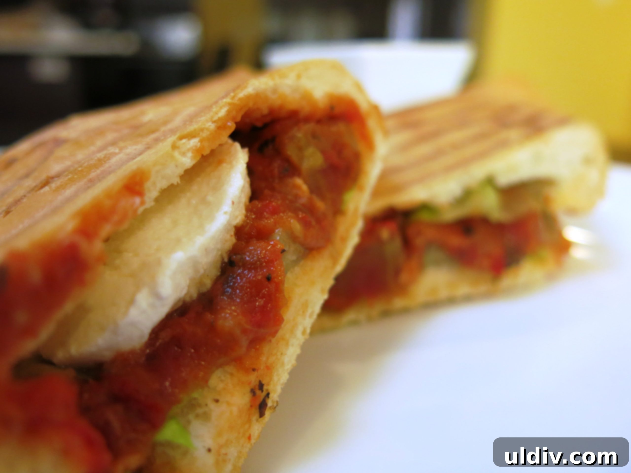 Childhood's Pure Rustic Roasted Pepper Eggplant Dip 6 A delicious panino made with roasted pepper and eggplant dip and bocconcini