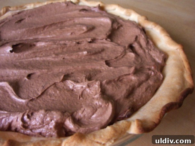 The Ultimate French Silk Pie Recipe Surpassing Bakers Square 15 whole chocolate pie