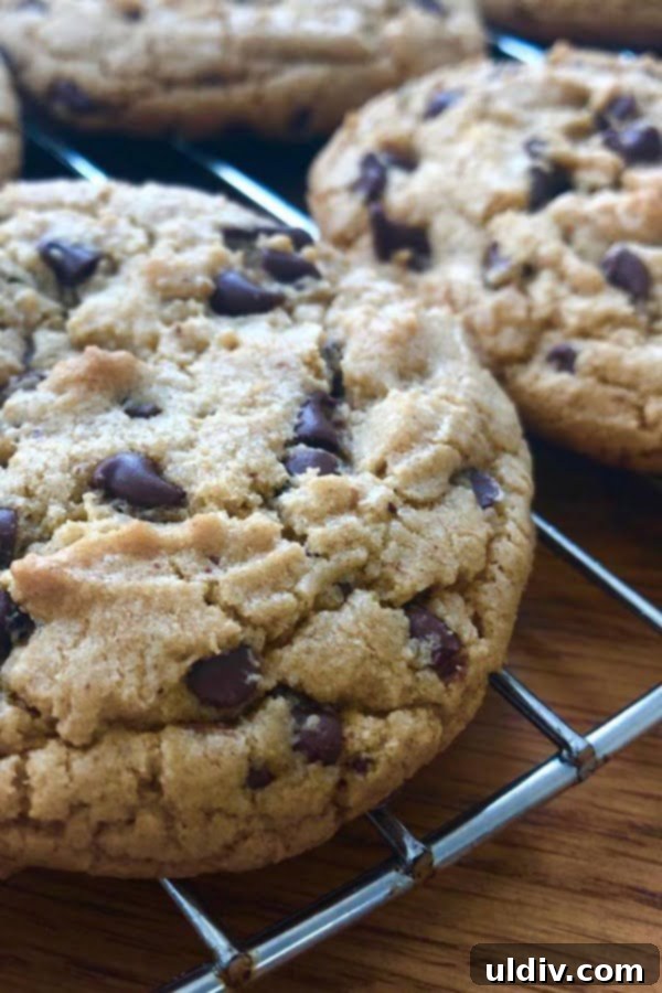 Jumbo almond butter chocolate chip cookies with a perfectly crispy edge and chewy center, ideal for a sweet craving