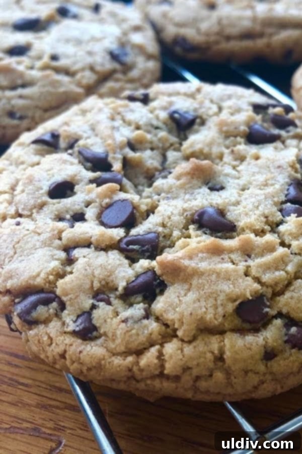 A single, large almond butter chocolate chip cookie on a white background, showcasing its golden brown edges and melty chocolate chips