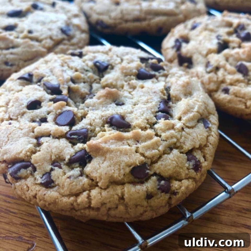 almond butter chocolate chip cookies