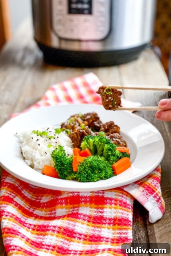 Asian beef stew with Instant Pot in background