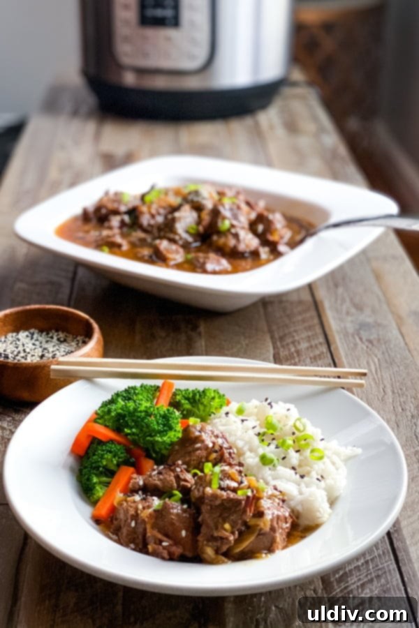 bowl of beef stew and serving bowl