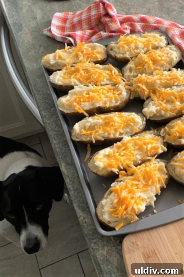Make-Ahead Stuffed Potato Boats 5 Tray of partially prepared cheddar stuffed potatoes, topped with cheese, ready to be baked.
