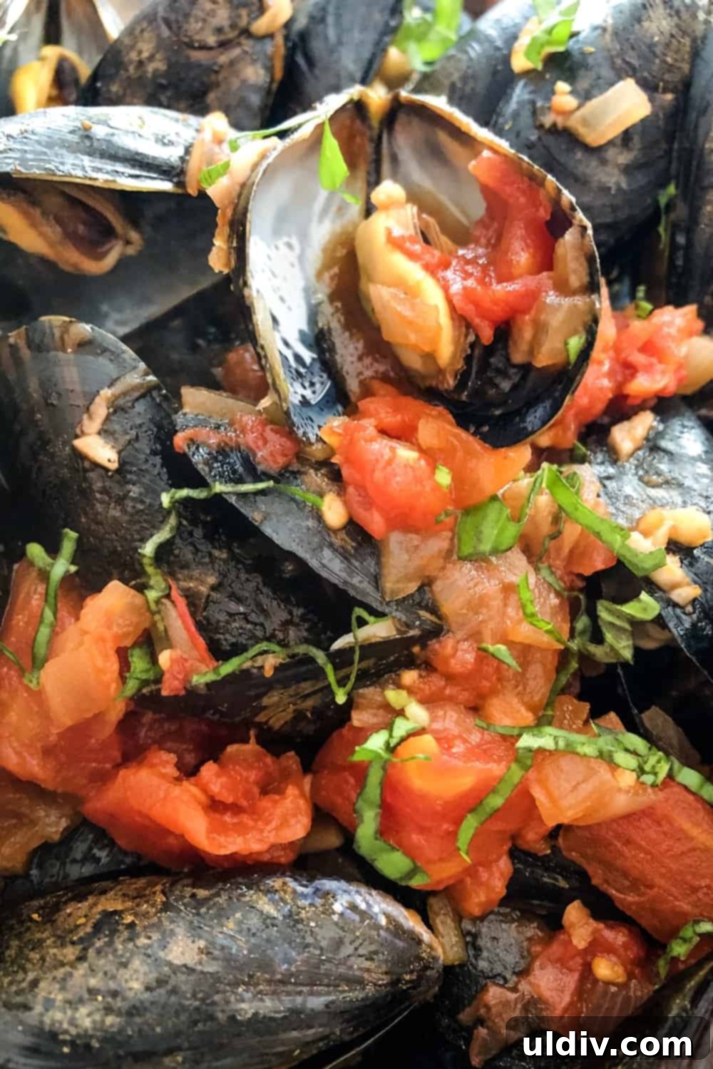 Zesty Marinara Mussels 2 Steaming bowl of mussels cooked in a vibrant spicy red marinara sauce, garnished with fresh basil