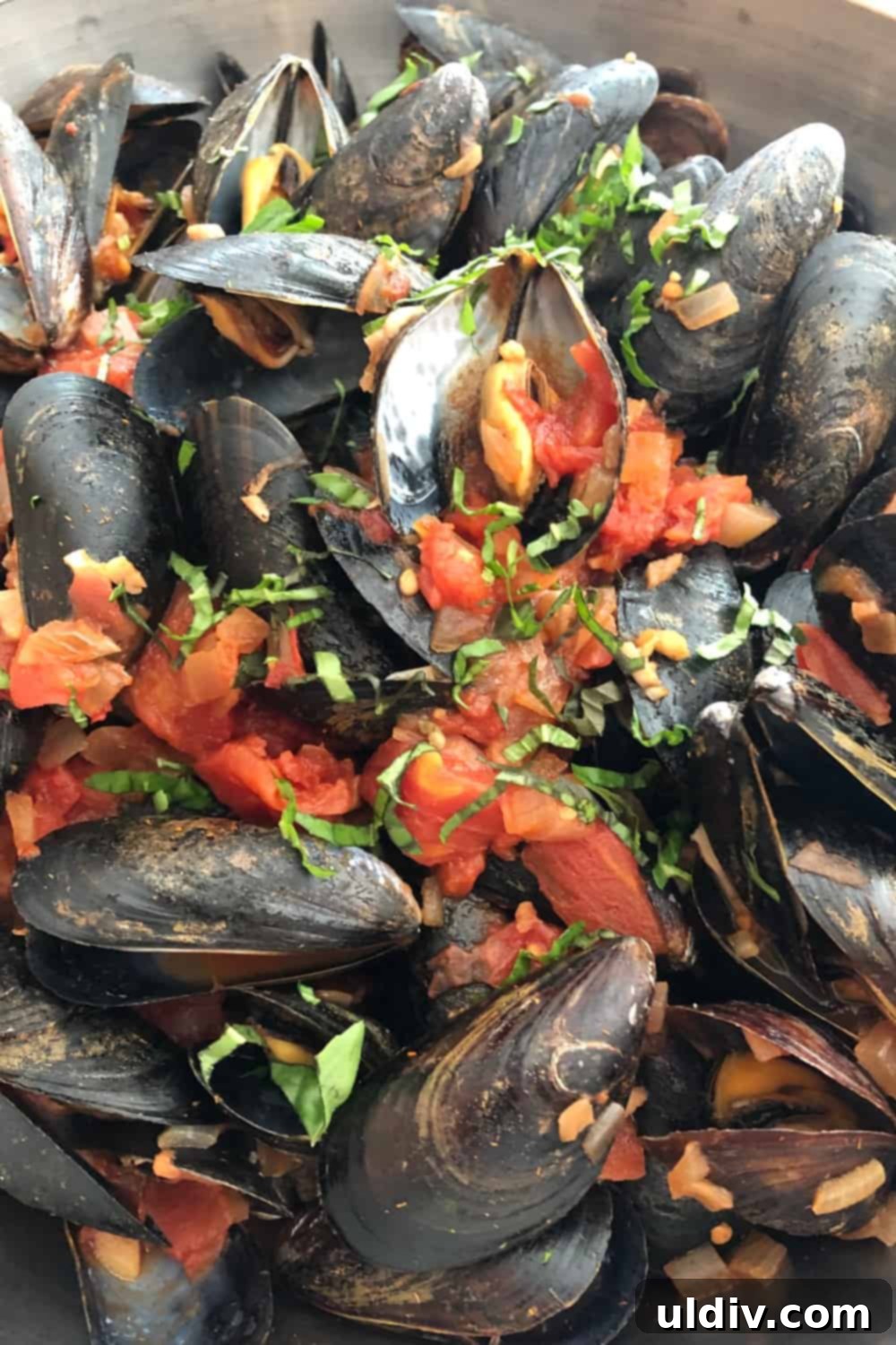 Zesty Marinara Mussels 5 Mouth-watering close-up of a bowl of cooked mussels in a rustic, chunky marinara sauce, ready to be enjoyed.