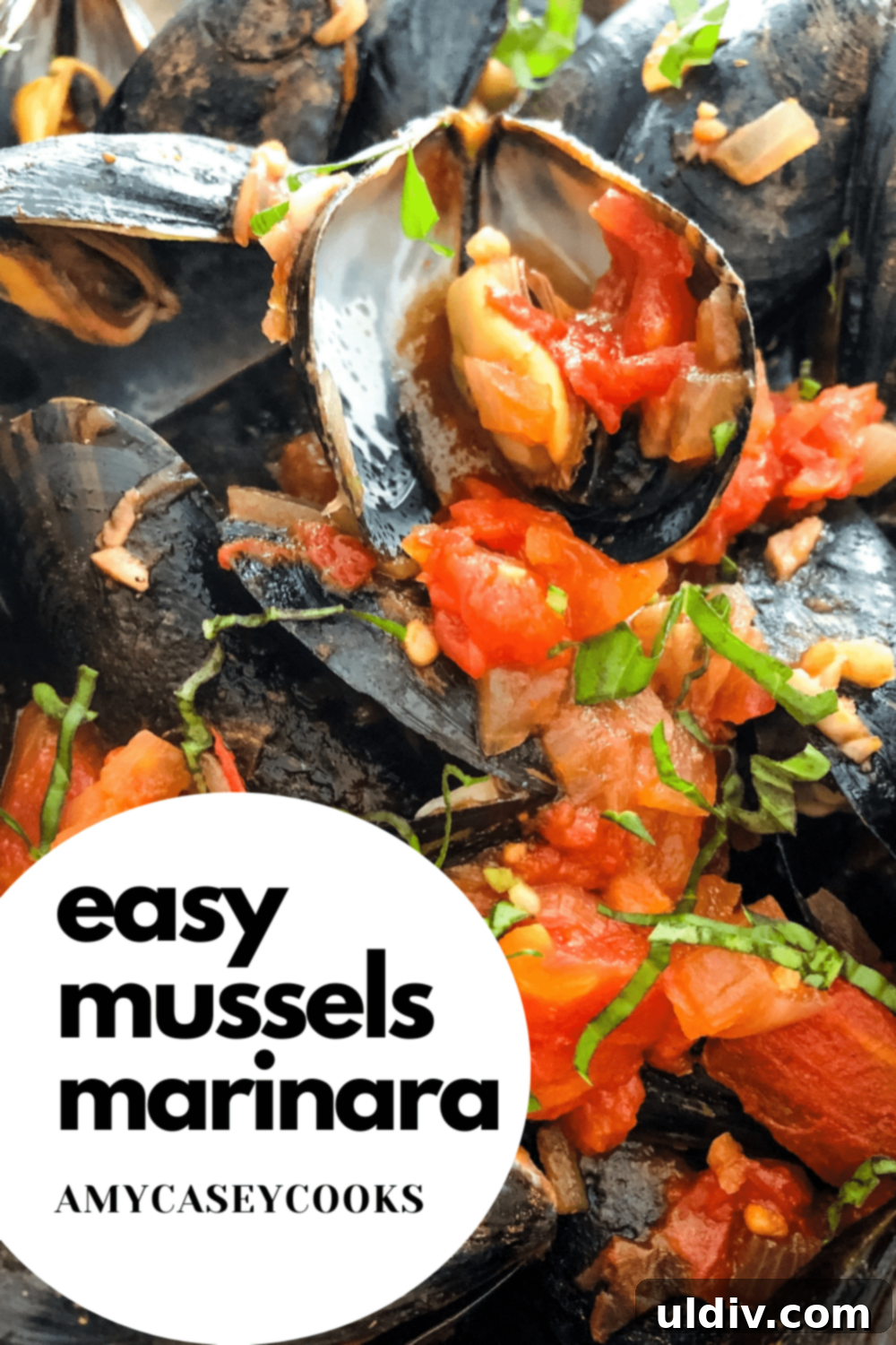 Zesty Marinara Mussels 6 A vibrant bowl of mussels cooked in a homemade marinara sauce, garnished with fresh basil leaves.
