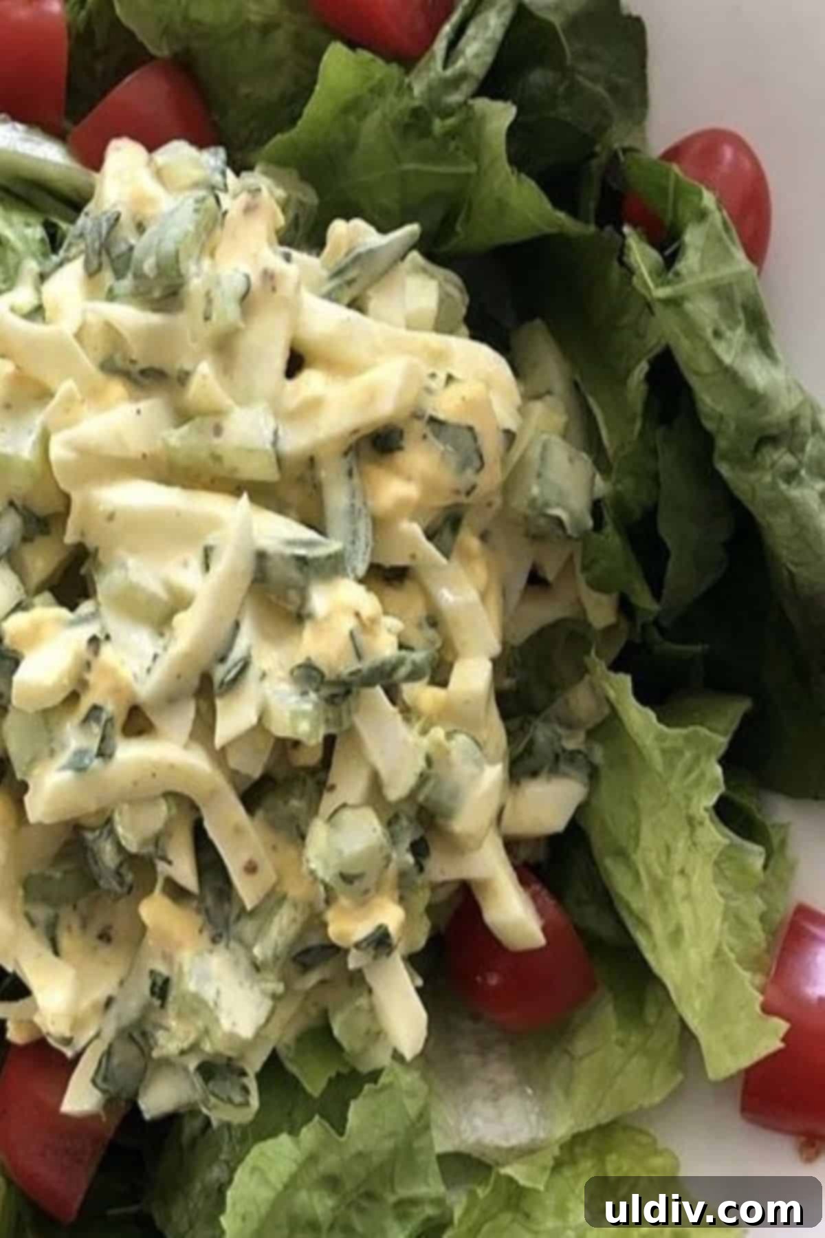 Timeless Deviled Egg Salad 2 Deviled egg salad over lettuce in a bowl, ready to be served.