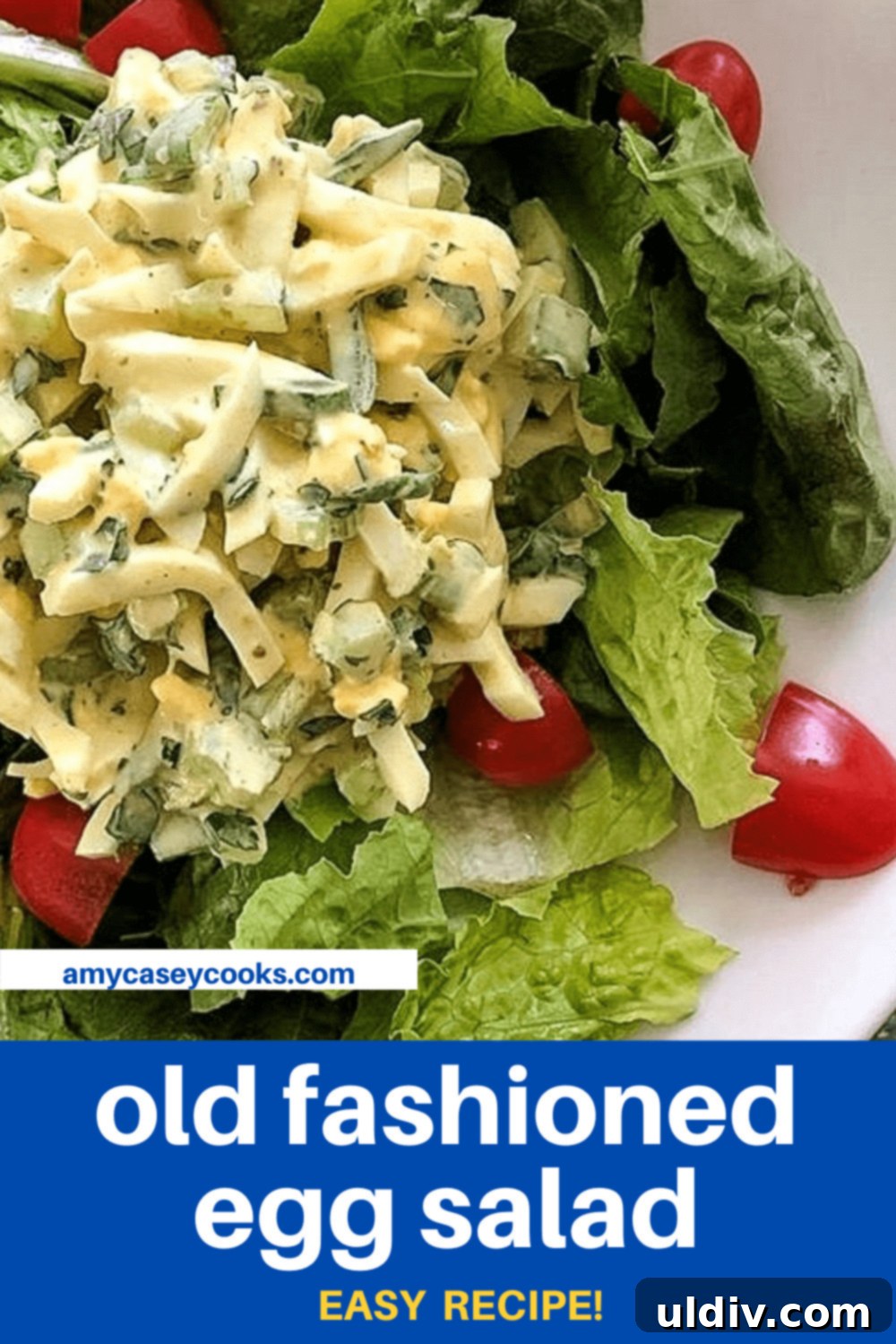 Timeless Deviled Egg Salad 5 Chunky egg salad with vibrant cherry tomatoes, served over fresh lettuce leaves.