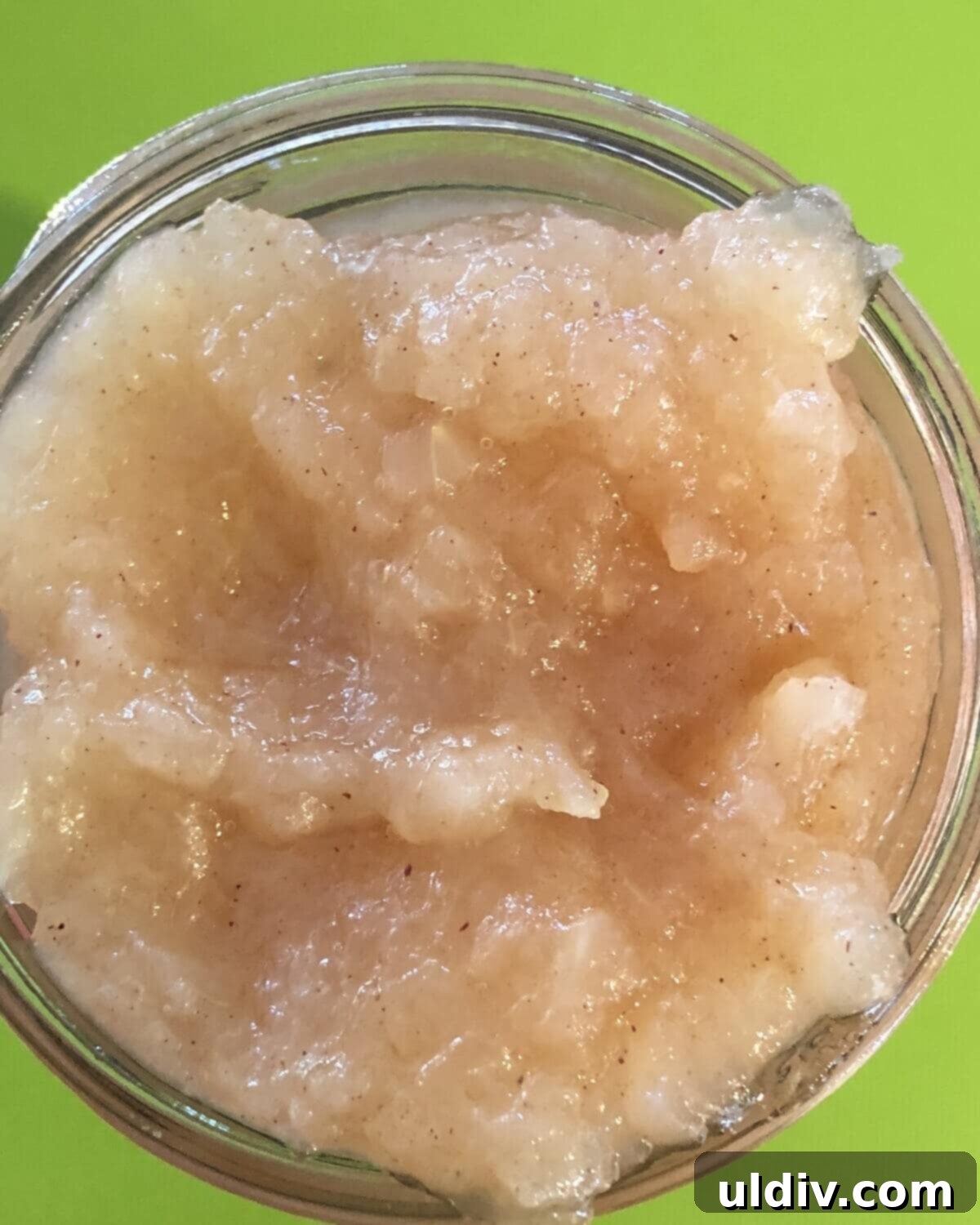 How to Make Chunky Applesauce from Whole Apples 2 A bowl of chunky homemade applesauce with a sprinkle of cinnamon on top, ready to be enjoyed.