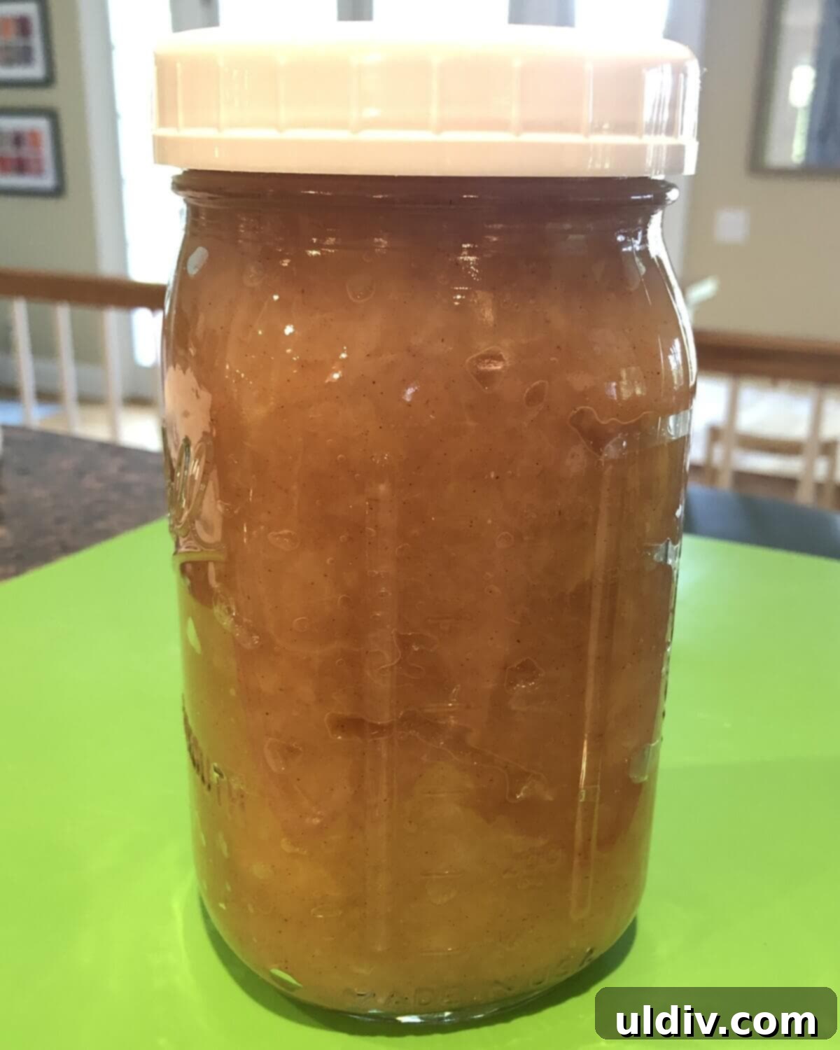 How to Make Chunky Applesauce from Whole Apples 3 A charming glass jar filled with luscious, chunky homemade applesauce, garnished with a sprig of cinnamon.