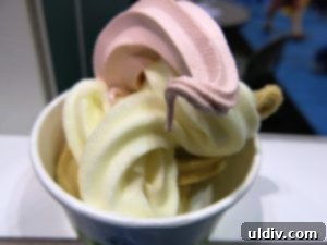 National Restaurant Association Show 2016 Culinary Trends Uncovered 2 Delicious artisan ice cream, a key food trend showcased at the National Restaurant Association Show