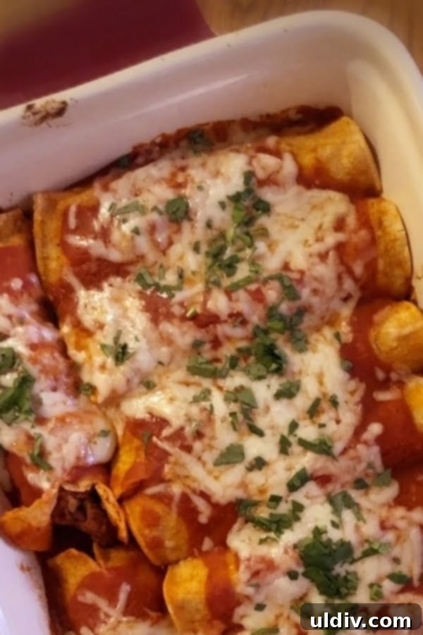 Easy Beef and Cheese Enchiladas 3 corn tortillas filled with beef